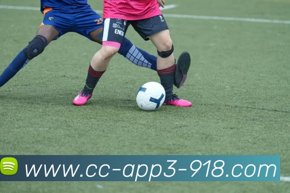 博天堂918APP 高清赛事图